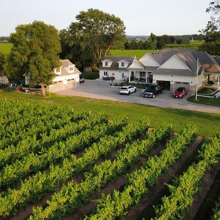 Villa In The Vines Niagara-on-the-Lake Exterior photo