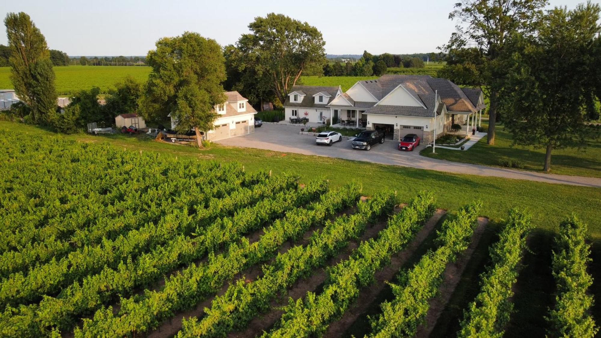 Villa In The Vines Niagara-on-the-Lake Exterior photo